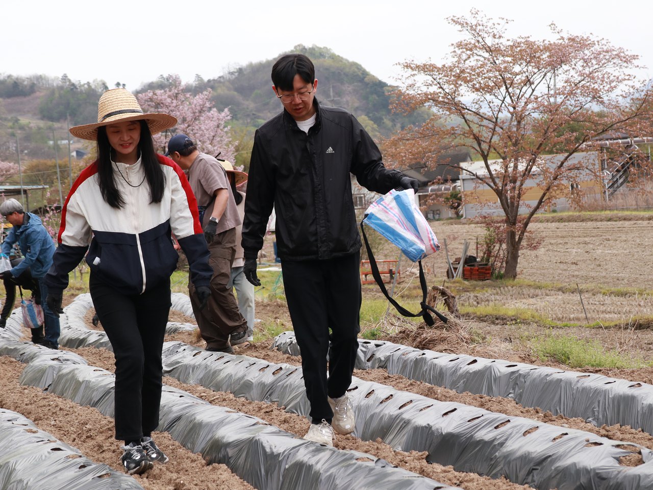 1사1촌 자매결연마을 일손돕기-5