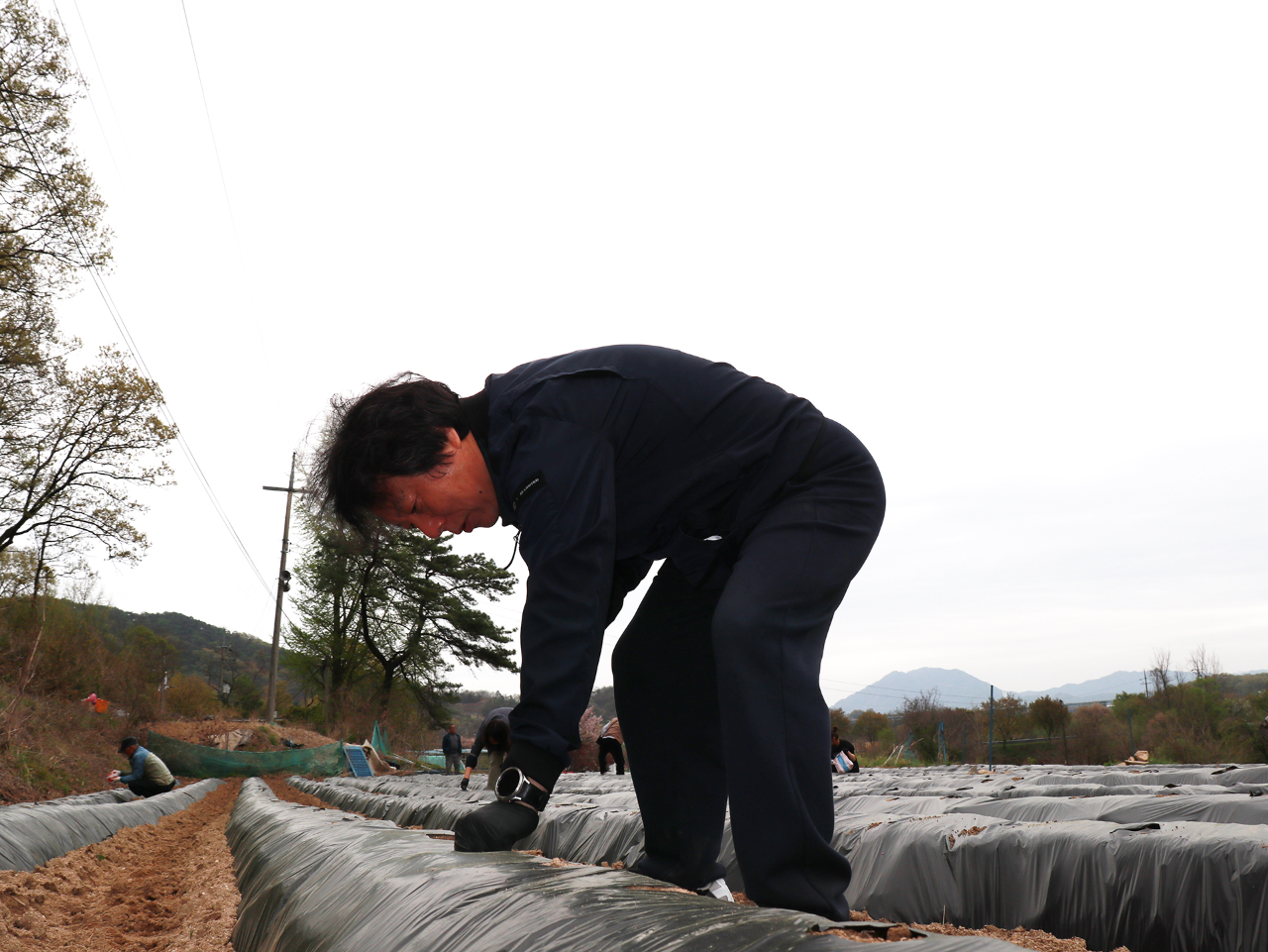 1사1촌 자매결연마을 일손돕기-7