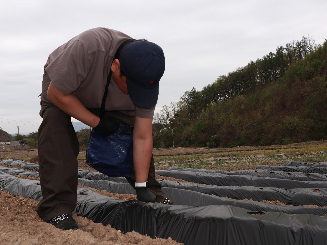 1사1촌 자매결연마을 일손돕기-8