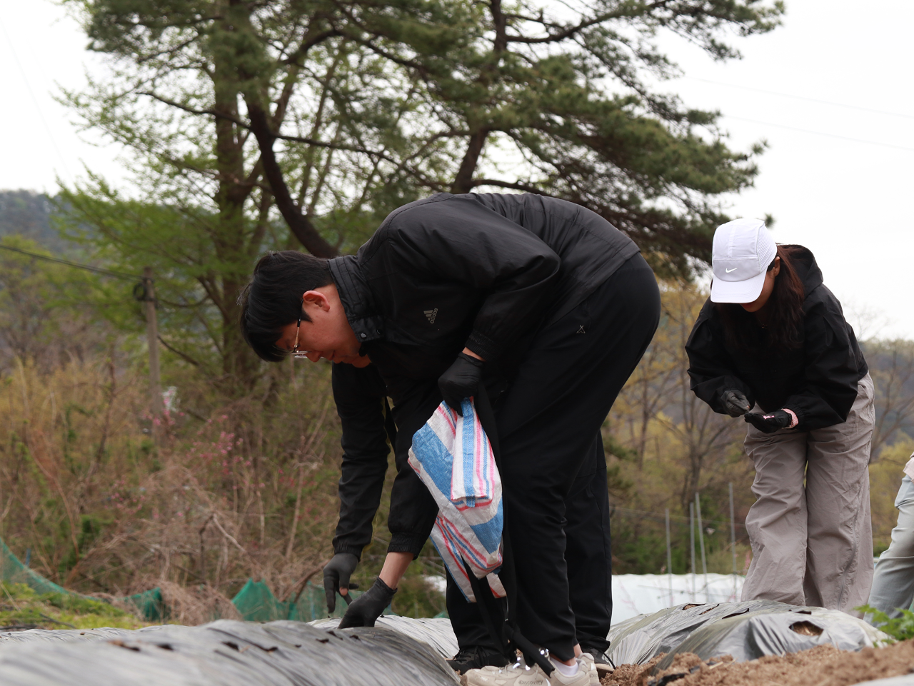 1사1촌 자매결연마을 일손돕기-10