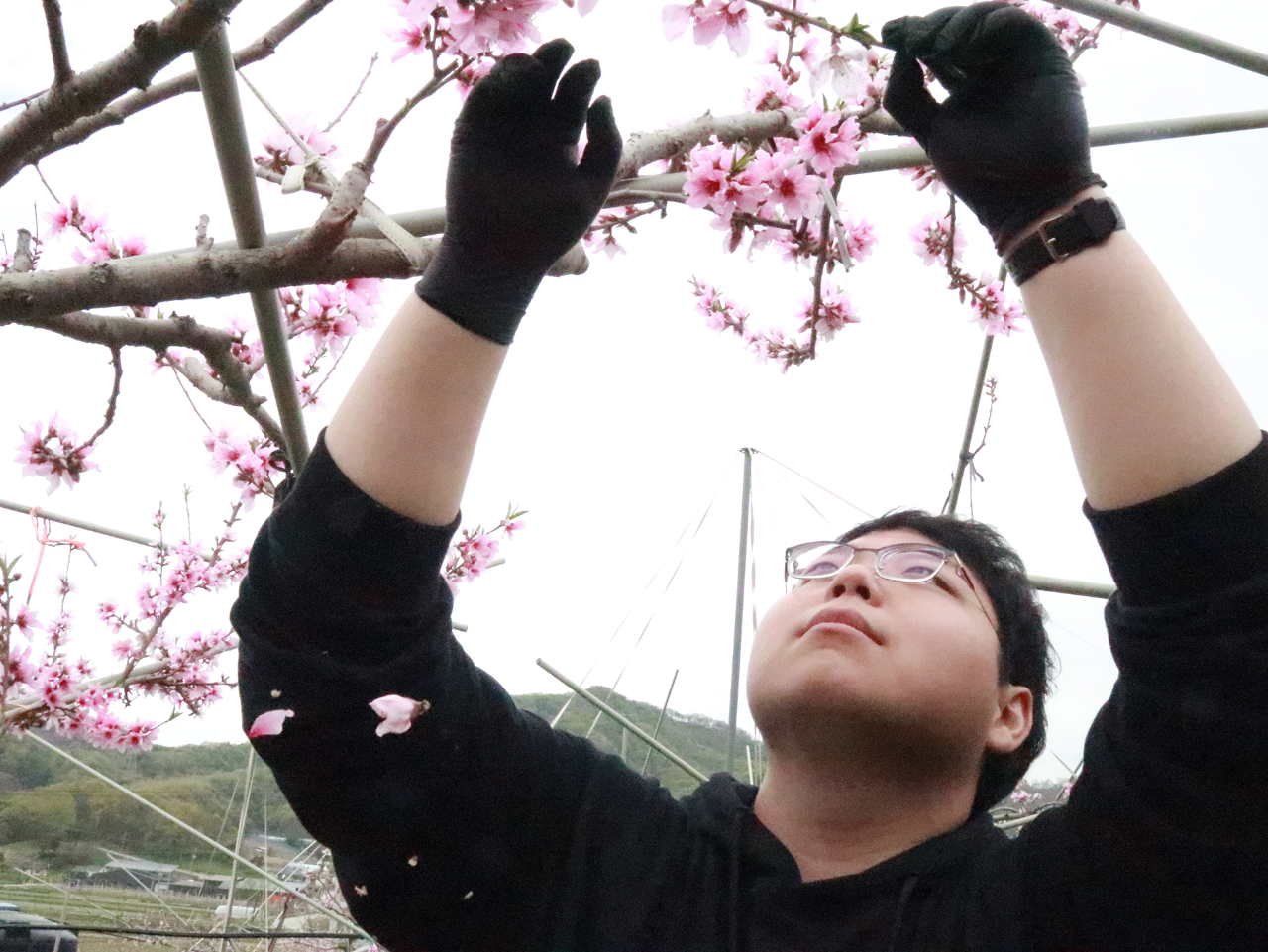 1사1촌 자매결연마을 일손돕기-13