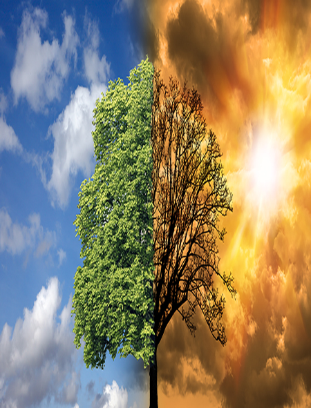 Communication Strategies for Adapting to the Health Impacts of the Climate Crisis