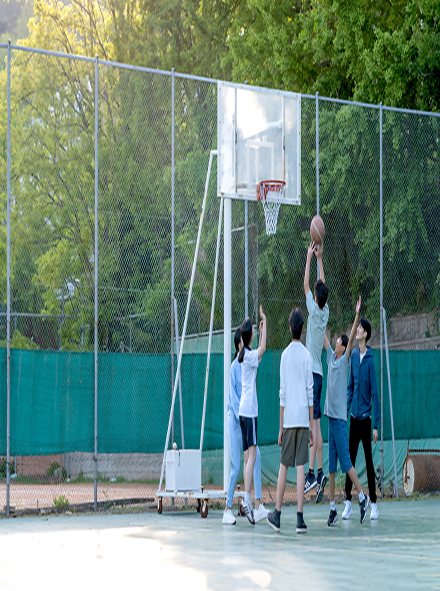 Policy Implications for the Promotion of School-Based Physical Activity among Children and Adolescents