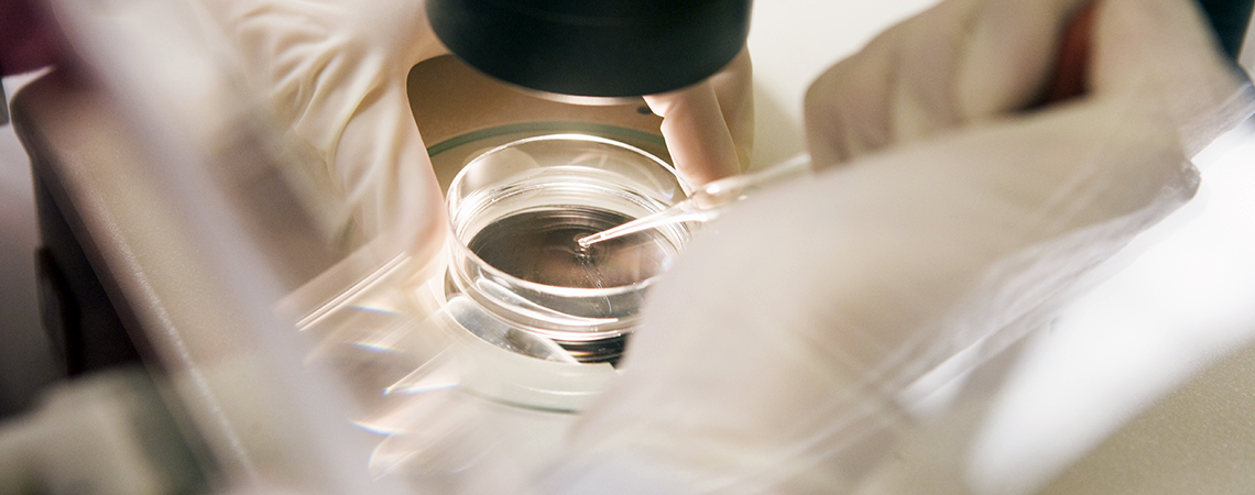 『국제사회보장리뷰』통권 제36호 발간