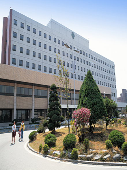 Costs of Patient Outflow and Public Perceptions of Regional National University Hospitals